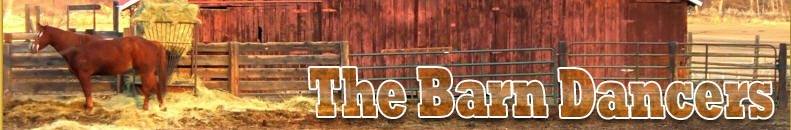 The Barn Dancers